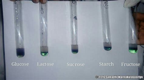 molisch test positive result|Carbohydrates .